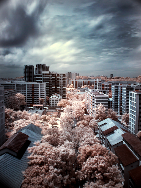 infrared   bukitGombak by shin ex 20 Stunning Infrared Pictures 